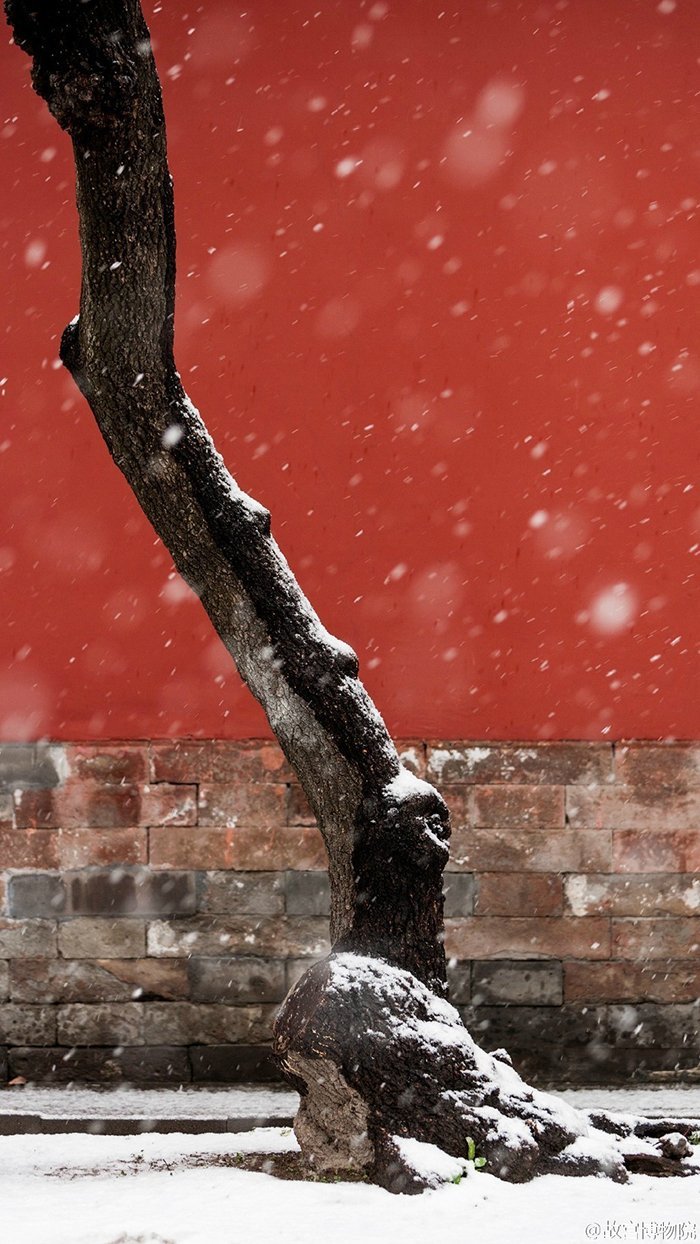 超實(shí)用的冬季雪景拍攝技巧